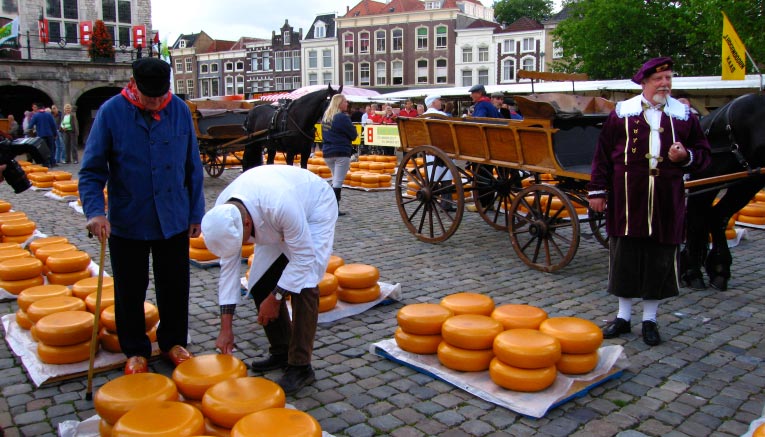 Bnbi-holland-belgium-biking-12